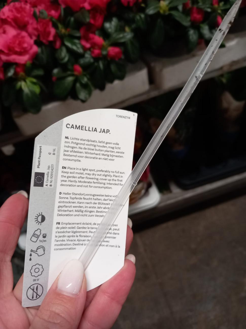 Controale la marile depozite de flori din București: Mii de produse au fost retrase de la vânzare, chiar înainte de 1 și 8 martie 954720