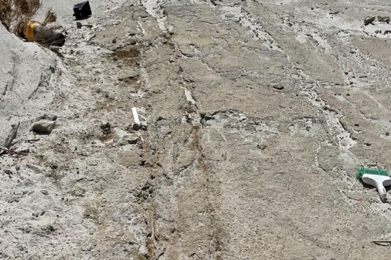 Descoperire arheologică remarcabilă: S-au găsit dovezi vechi de 20.000 de ani ale unor „vehicule” antice fără roți, în New Mexico 954986