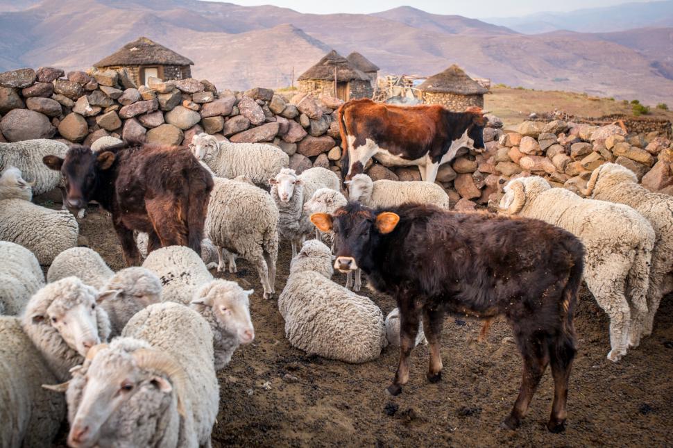 Șapte lucruri despre Lesotho, țara despre care Donald Trump spune că „nimeni nu a auzit vreodată”. De ce e numită „regatul din cer” 956116