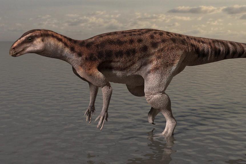 Descoperire „incredibilă” într-un liceu: S-au găsit zeci de urme de dinozaur pe o rocă ce stătea expusă în instituție de 23 de ani 957345