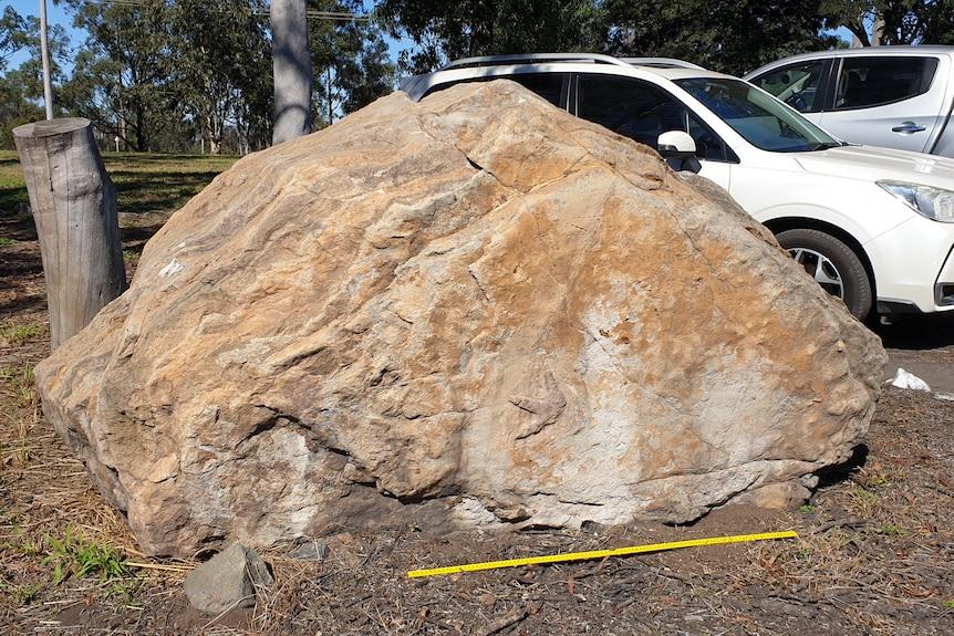 Descoperire „incredibilă” într-un liceu: S-au găsit zeci de urme de dinozaur pe o rocă ce stătea expusă în instituție de 23 de ani 957347