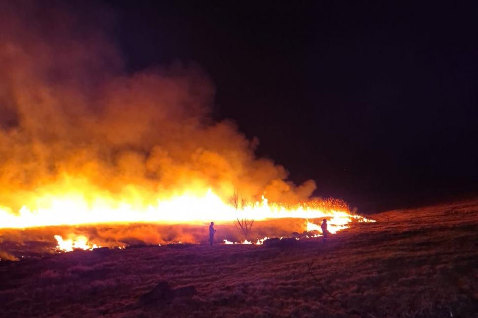 Peste 10.000 de hectare din 15 județe au ars în incendiile puse intenționat. Doi oameni au murit, trei au fost răniți 957315