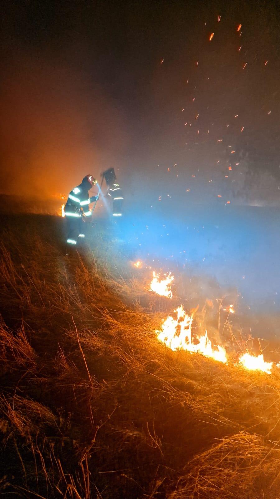 Peste 10.000 de hectare din 15 județe au ars în incendiile puse intenționat. Doi oameni au murit, trei au fost răniți 957316