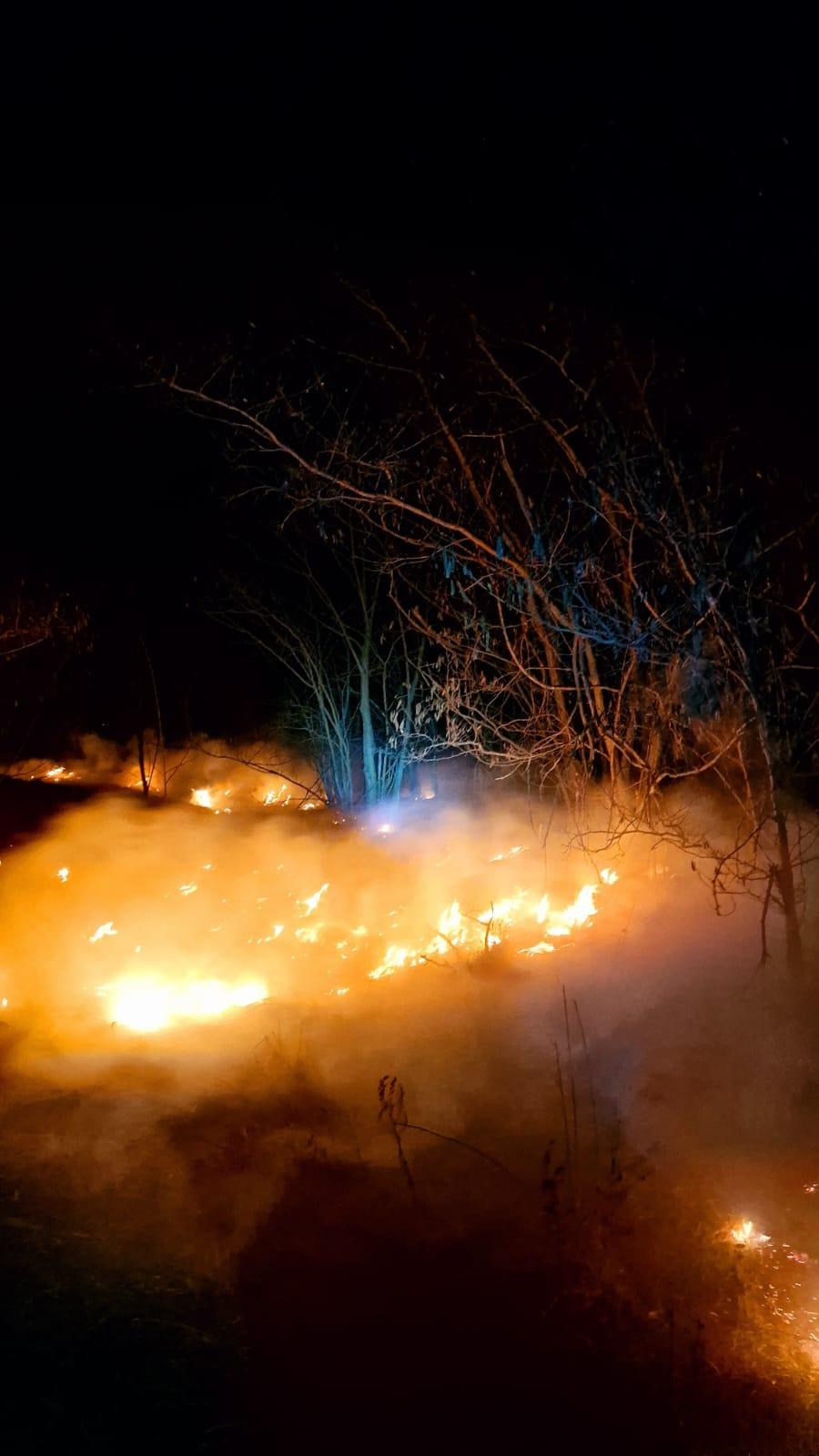 Peste 10.000 de hectare din 15 județe au ars în incendiile puse intenționat. Doi oameni au murit, trei au fost răniți 957321