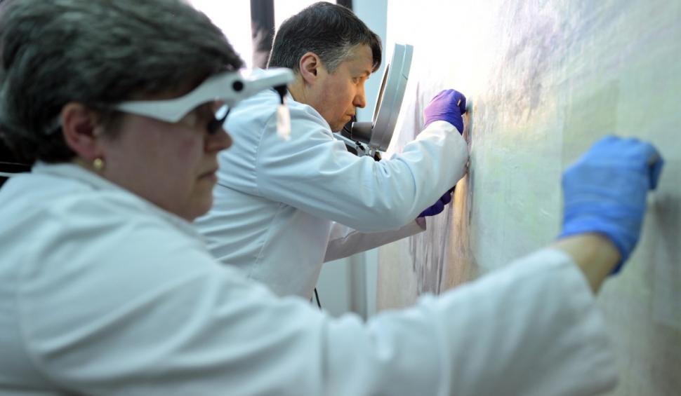 Tabloul „Car cu boi” al lui Nicolae Grigorescu e restaurat de specialiști. Imagini inedite din laboratorul Palatului Culturii din Iași 957247