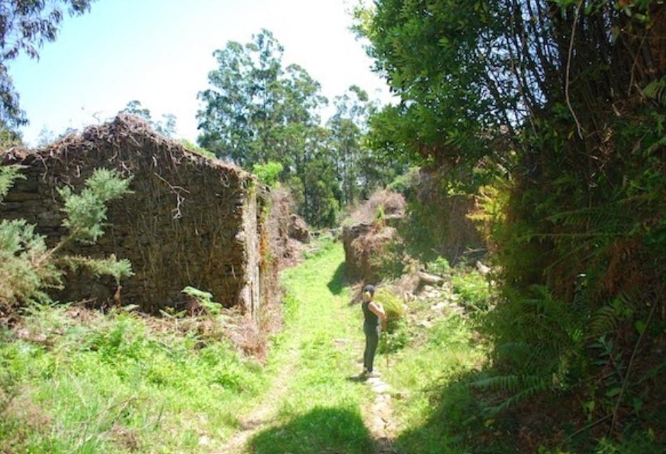 Un sat abandonat din Spania este scos la vânzare cu 89.000 de euro: „Dacă tăiați buruienile se vede marea” 957396