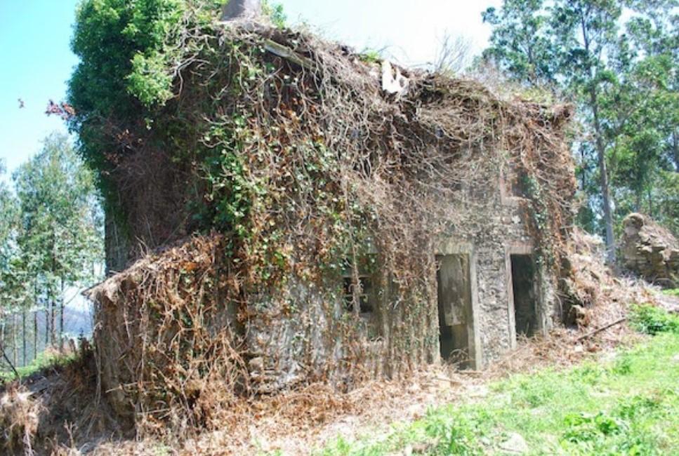 Un sat abandonat din Spania este scos la vânzare cu 89.000 de euro: „Dacă tăiați buruienile se vede marea” 957399