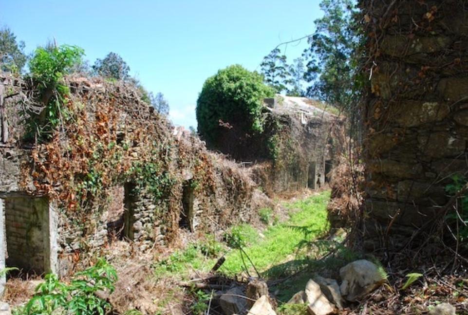 Un sat abandonat din Spania este scos la vânzare cu 89.000 de euro: „Dacă tăiați buruienile se vede marea” 957402