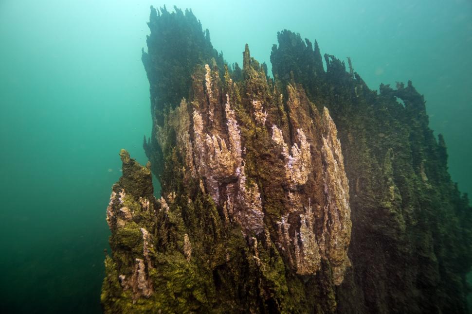 „Coșuri de zâne subacvatice” au apărut pe cel mai mare lac sărat din Turcia. Imaginile spectaculoase trag însă un semnal de alarmă 959428