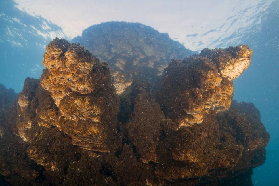 „Coșuri de zâne subacvatice” au apărut pe cel mai mare lac sărat din Turcia. Imaginile spectaculoase trag însă un semnal de alarmă 959429