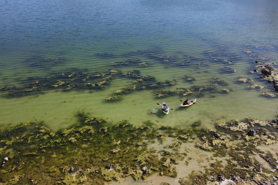 „Coșuri de zâne subacvatice” au apărut pe cel mai mare lac sărat din Turcia. Imaginile spectaculoase trag însă un semnal de alarmă 959431