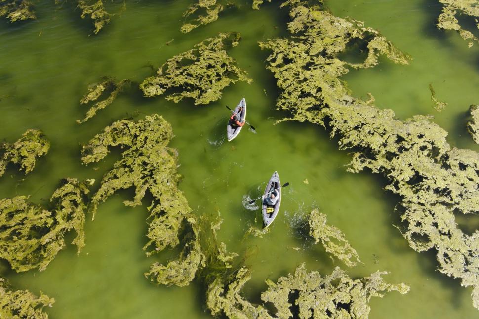 „Coșuri de zâne subacvatice” au apărut pe cel mai mare lac sărat din Turcia. Imaginile spectaculoase trag însă un semnal de alarmă 959433