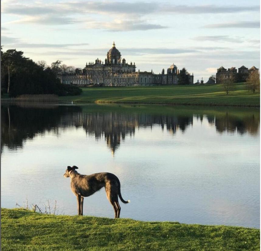 Castelul din serialul Bridgerton va putea fi închiriat în întregime, peste noapte 959294