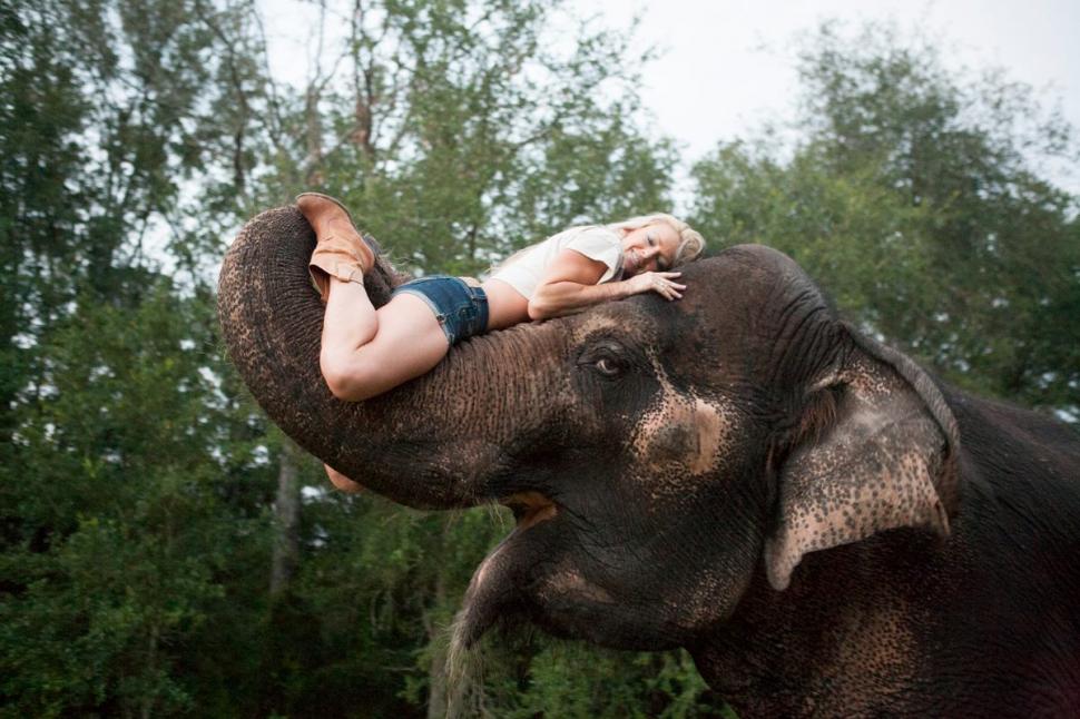 Clipul viral care a cucerit internetul: elefantul care adoră să îi fie colorate unghiile cu cretă roz 956489