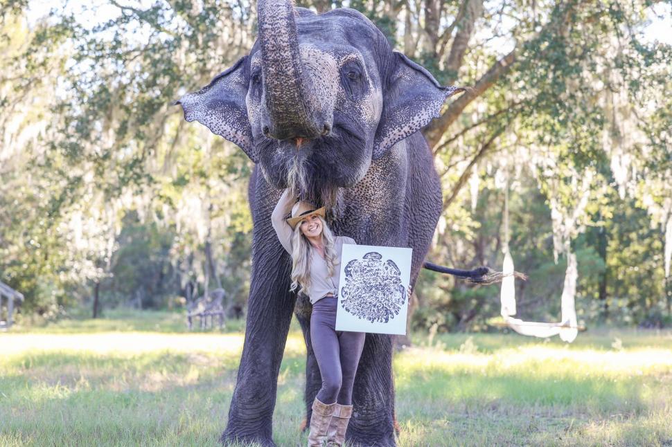 Clipul viral care a cucerit internetul: elefantul care adoră să îi fie colorate unghiile cu cretă roz 956490