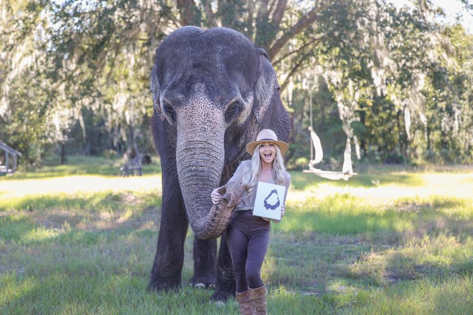 Clipul viral care a cucerit internetul: elefantul care adoră să îi fie colorate unghiile cu cretă roz 956491