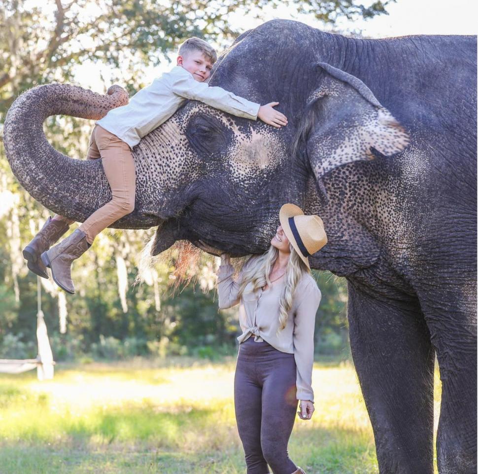 Clipul viral care a cucerit internetul: elefantul care adoră să îi fie colorate unghiile cu cretă roz 956493