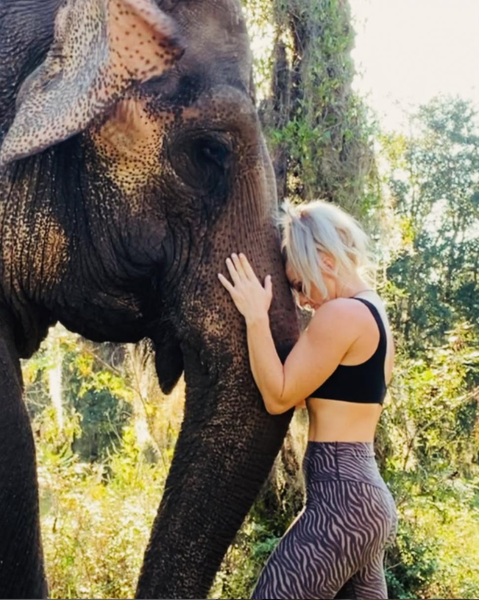 Clipul viral care a cucerit internetul: elefantul care adoră să îi fie colorate unghiile cu cretă roz 956497