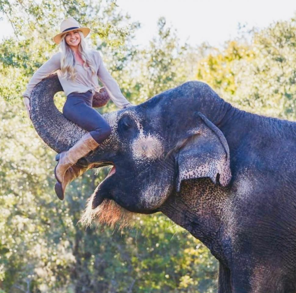 Clipul viral care a cucerit internetul: elefantul care adoră să îi fie colorate unghiile cu cretă roz 956498