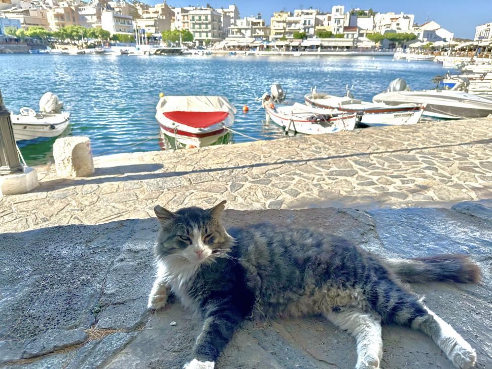 Creta, insula contrastelor din Grecia: munţi, ape turcoaz, hoteluri de lux, delicii culinare şi tradiţii 960056