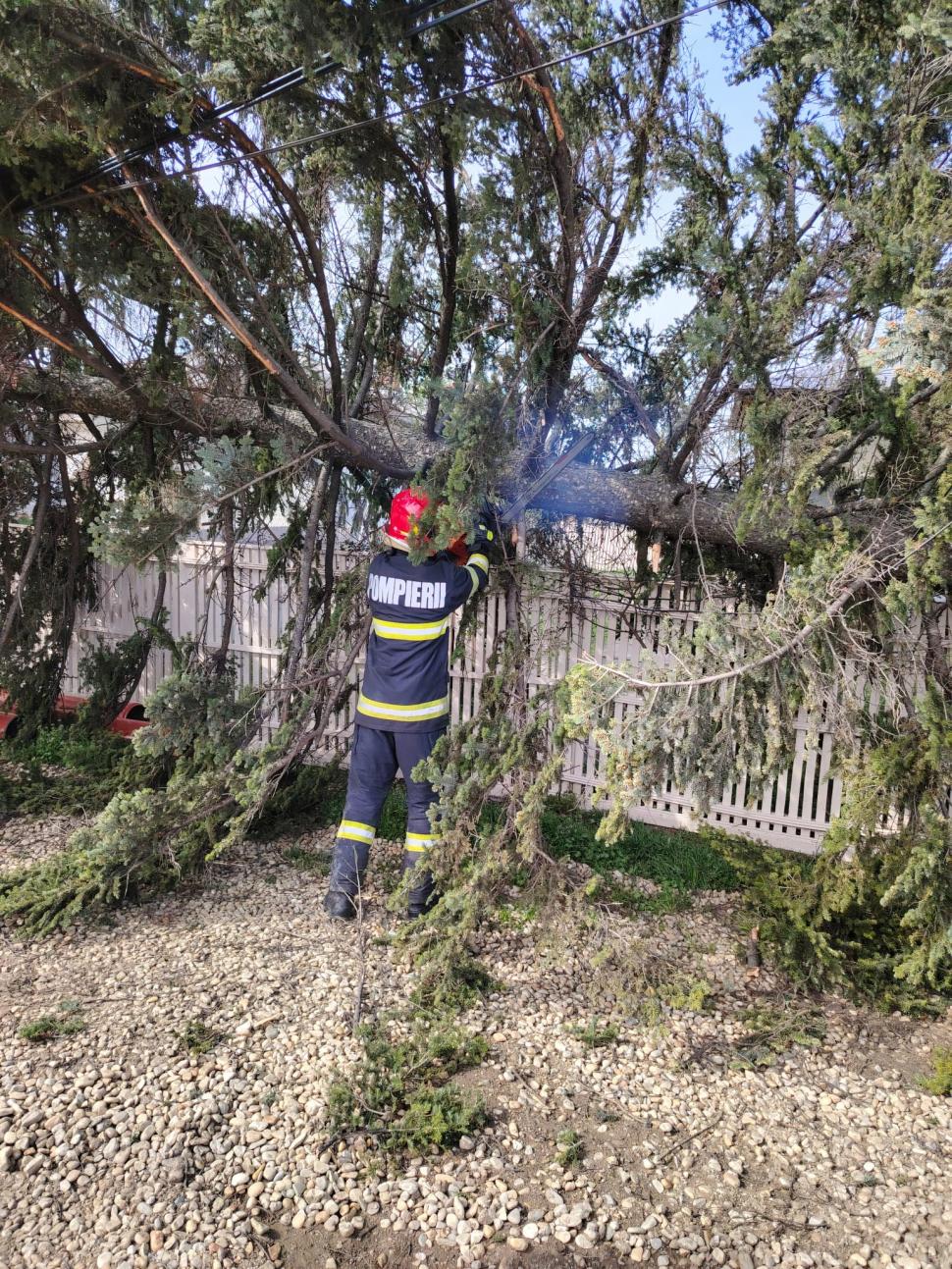 Vântul puternic a doborât mai mulți copaci, a smuls bucăți din acoperișurile blocurilor și a avariat zeci de mașini 961068