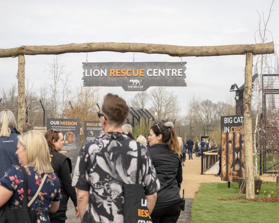 Cinci lei traumatizați de războiul din Ucraina și-au găsit casa lor într-un sanctuar din Marea Britanie: Sufereau de șoc post-traumatic 960695