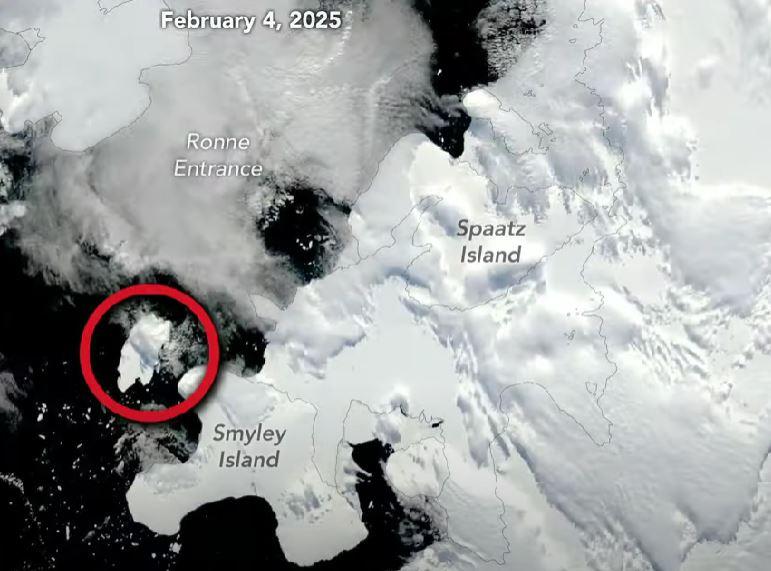 Momente unice pentru ştiinţă. Cel puţin 6 specii noi s-au găsit într-un "ecosistem înfloritor", sub un iceberg desprins din Antarctica 961243