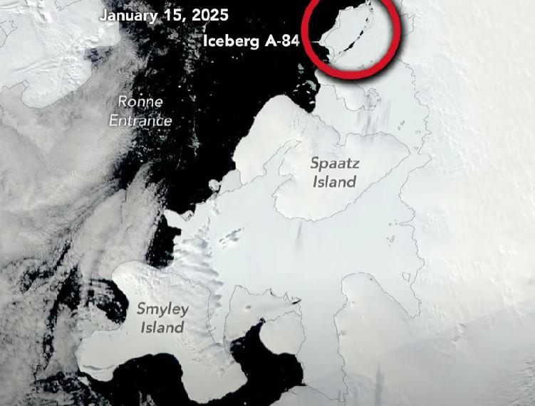 Momente unice pentru ştiinţă. Cel puţin 6 specii noi s-au găsit într-un "ecosistem înfloritor", sub un iceberg desprins din Antarctica 961244