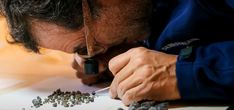 Momente unice pentru ştiinţă. Cel puţin 6 specii noi s-au găsit într-un "ecosistem înfloritor", sub un iceberg desprins din Antarctica 961245