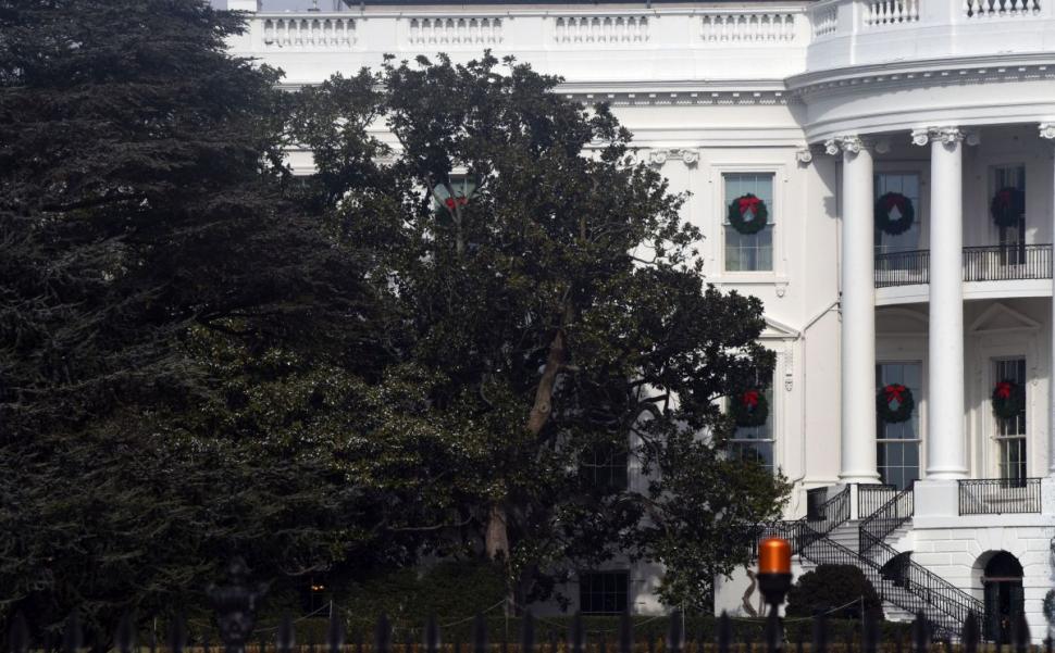 Trump anunță că va fi tăiat cel mai bătrân copac de la Casa Albă, plantat de predecesorul său, Andrew Jackson: "Toate au un sfârșit" 961370