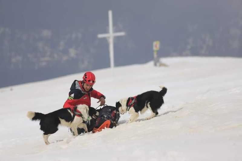 Cei 27 de salvatori blănoși ai României sunt dresați prin cel mai modern sistem din lume. Sunt atât de buni că îi cere și Poliția 961941