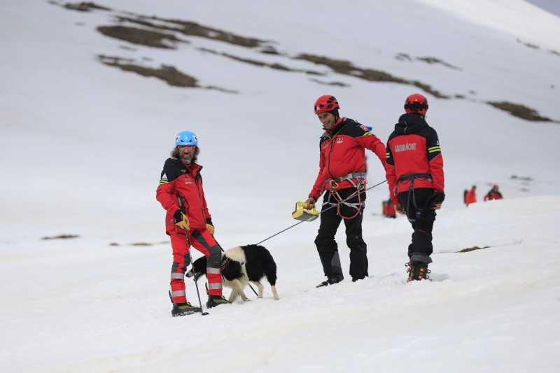 Cei 27 de salvatori blănoși ai României sunt dresați prin cel mai modern sistem din lume. Sunt atât de buni că îi cere și Poliția 961943
