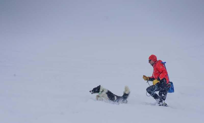 Cei 27 de salvatori blănoși ai României sunt dresați prin cel mai modern sistem din lume. Sunt atât de buni că îi cere și Poliția 961944