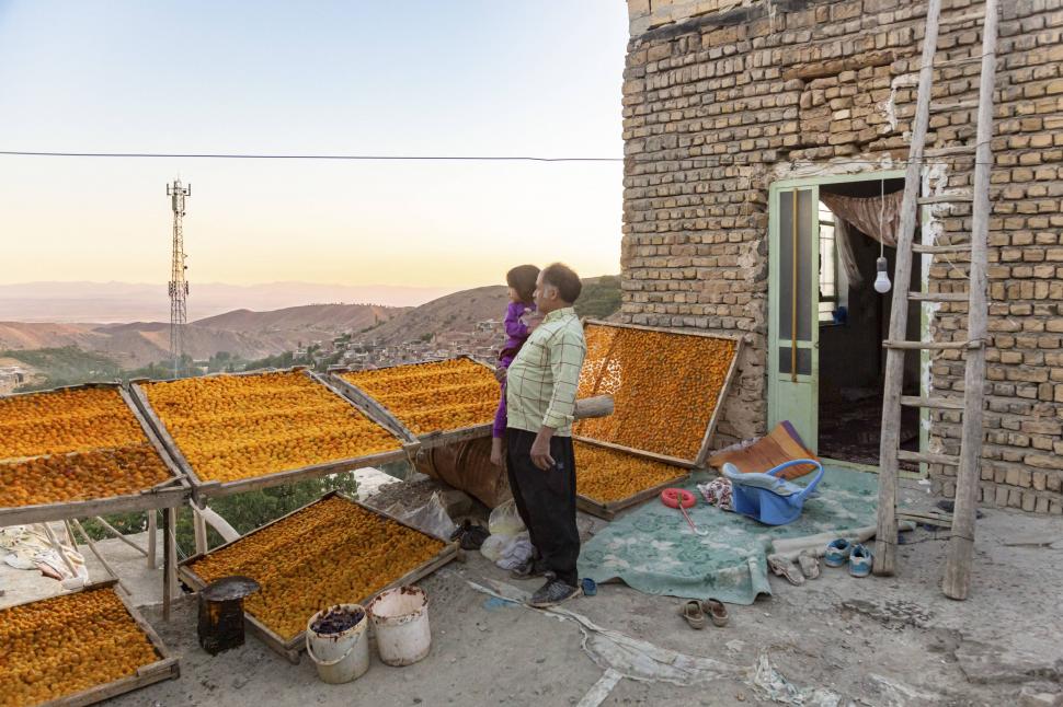 Orașul în care acoperișurile caselor devin portocalii, o dată pe an: Imagini cu milioanele de „bile” colorate care acoperă terasele 961985