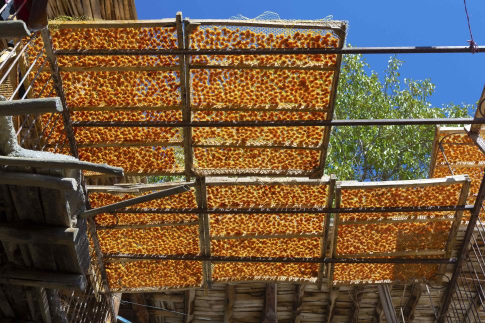 Orașul în care acoperișurile caselor devin portocalii, o dată pe an: Imagini cu milioanele de „bile” colorate care acoperă terasele 961988