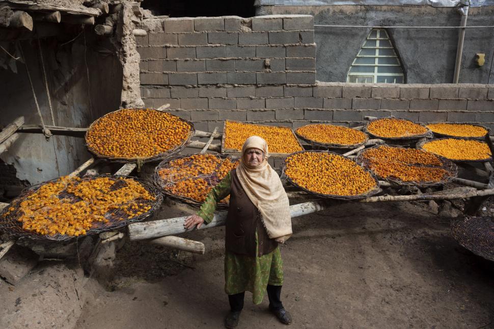 Orașul în care acoperișurile caselor devin portocalii, o dată pe an: Imagini cu milioanele de „bile” colorate care acoperă terasele 961994