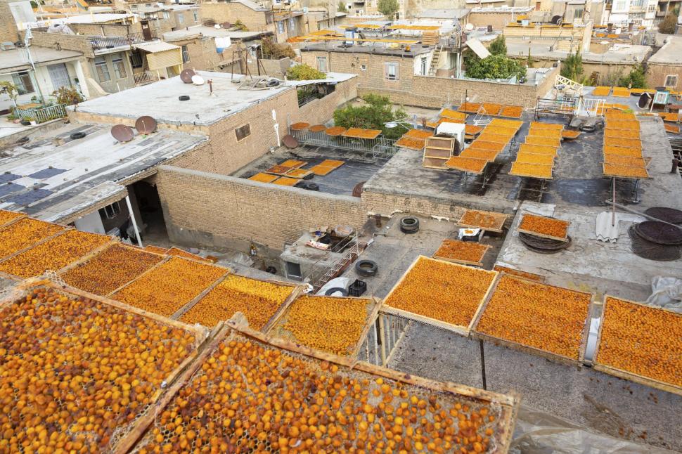 Orașul în care acoperișurile caselor devin portocalii, o dată pe an: Imagini cu milioanele de „bile” colorate care acoperă terasele 961995