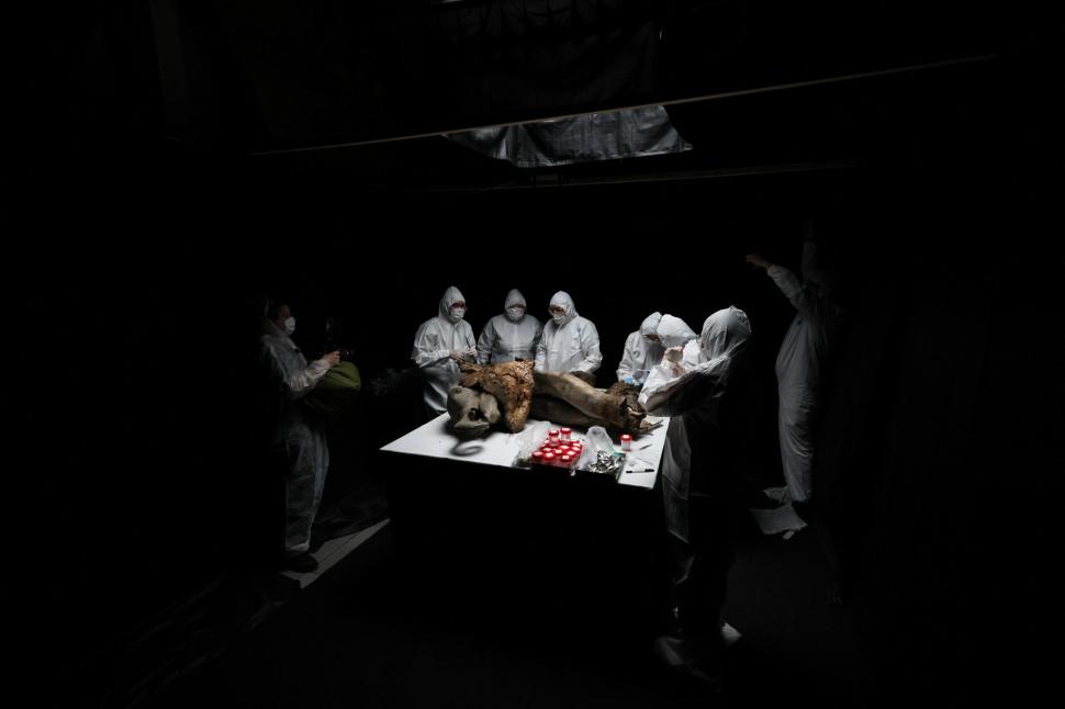 Necropsia celui mai bine conservat exemplar de mamut din lume. Ce au aflat cercetătorii despre Yana, care a trăit acum 130.000 de ani 962844