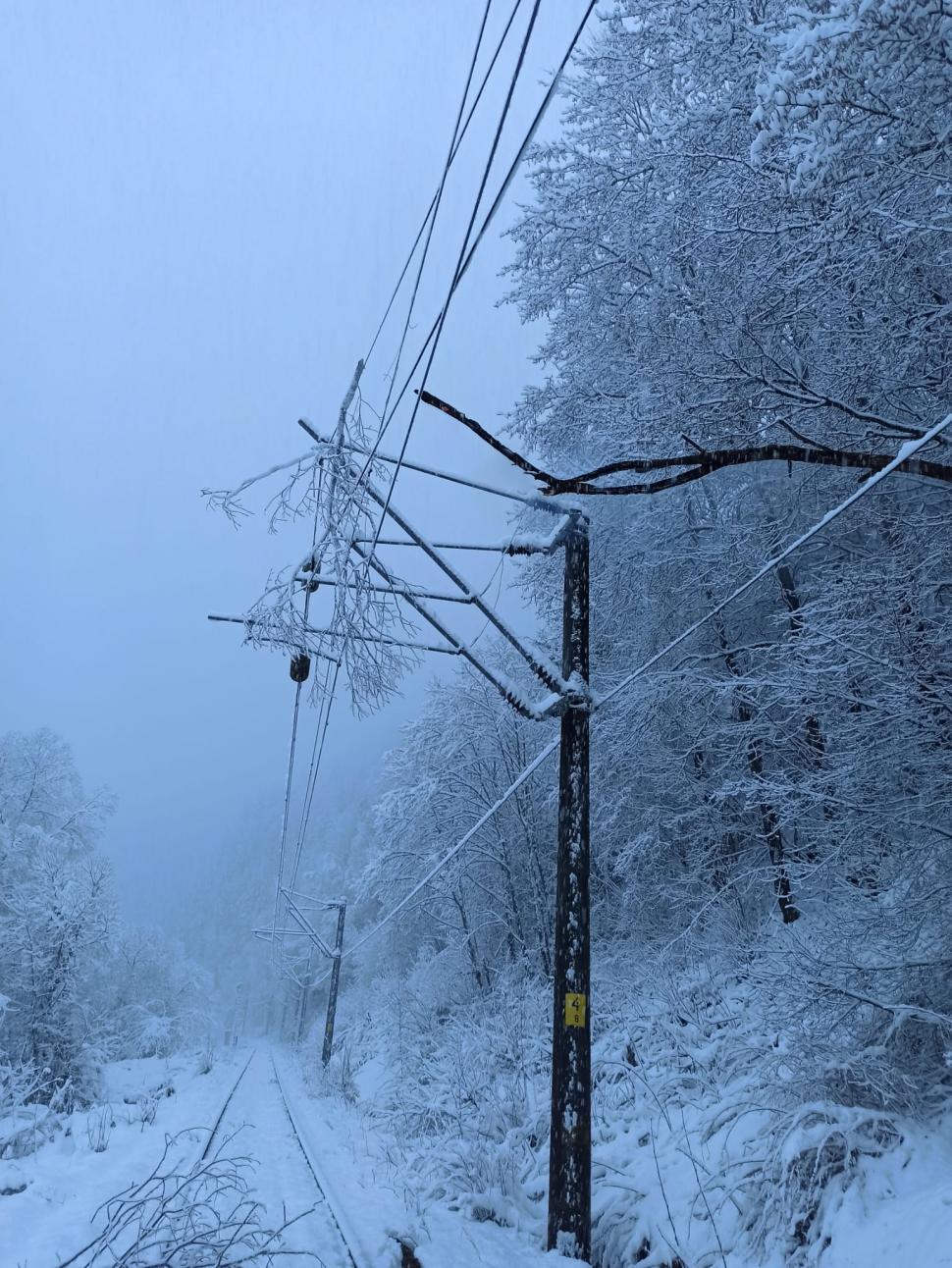 Mersul trenurilor, perturbat de ninsori și viscol. Circulația feroviară a fost întreruptă în mai multe zone, din cauza copacilor căzuți 962974