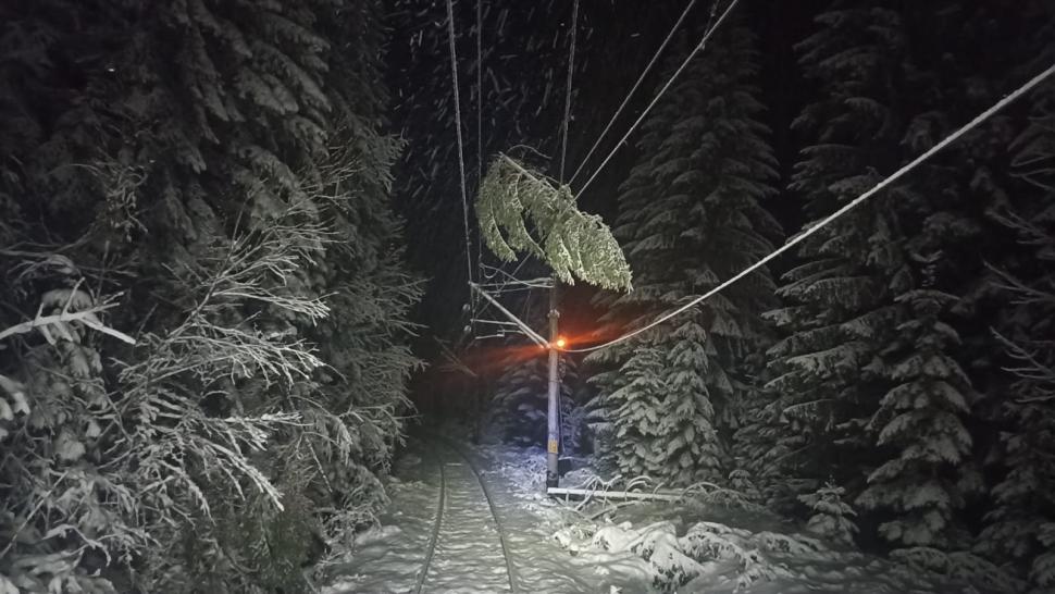 Mersul trenurilor, perturbat de ninsori și viscol. Circulația feroviară a fost întreruptă în mai multe zone, din cauza copacilor căzuți 962975
