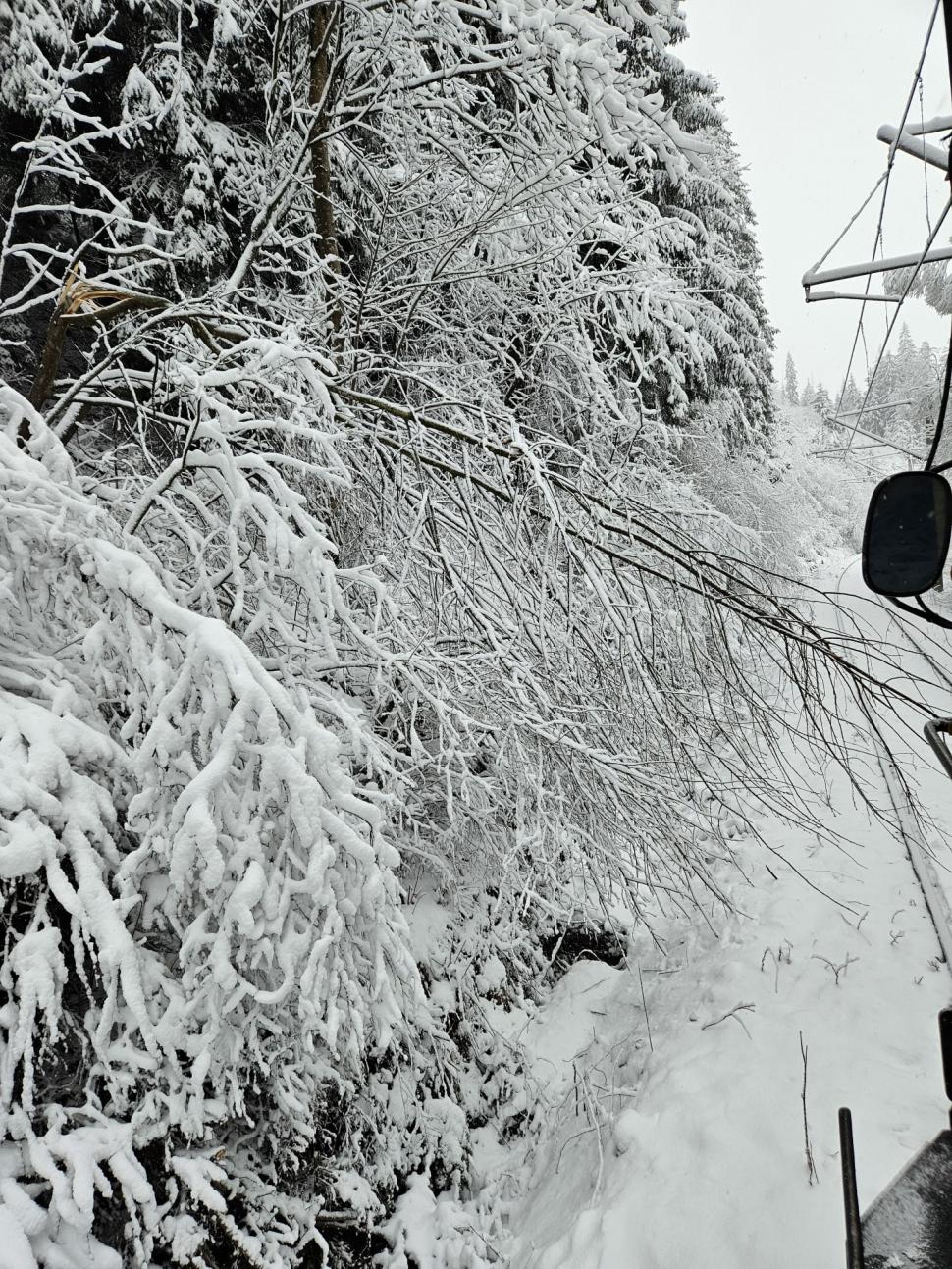 Mersul trenurilor, perturbat de ninsori și viscol. Circulația feroviară a fost întreruptă în mai multe zone, din cauza copacilor căzuți 962977