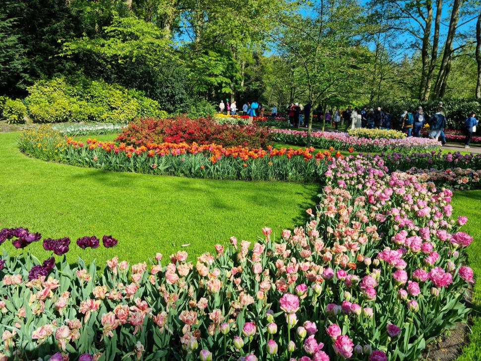 S-a deschis grădina cu 7 milioane de flori: Unde este și până când se vizitează. Imagini cu peisajul uluitor de care se bucură turiștii 962986