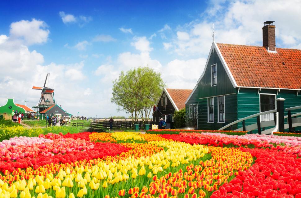 S-a deschis grădina cu 7 milioane de flori: Unde este și până când se vizitează. Imagini cu peisajul uluitor de care se bucură turiștii 962988