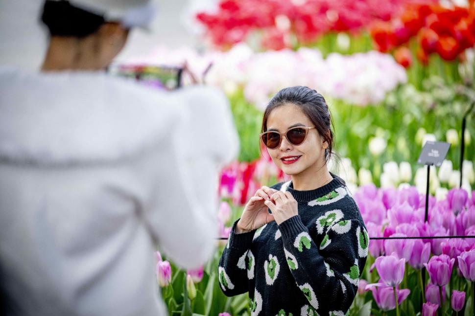 S-a deschis grădina cu 7 milioane de flori: Unde este și până când se vizitează. Imagini cu peisajul uluitor de care se bucură turiștii 962991