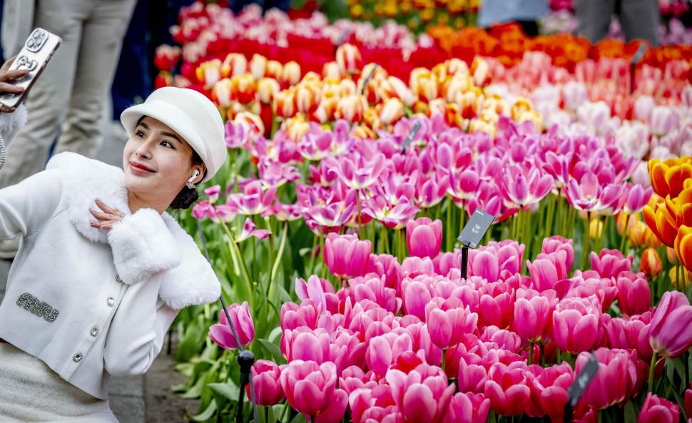 S-a deschis grădina cu 7 milioane de flori: Unde este și până când se vizitează. Imagini cu peisajul uluitor de care se bucură turiștii 962992