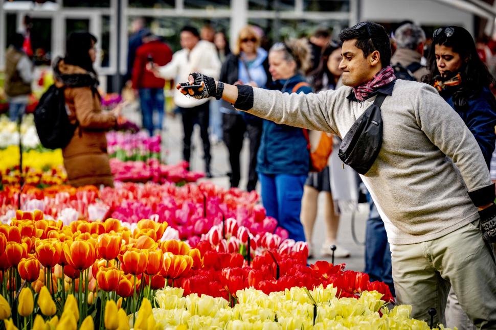S-a deschis grădina cu 7 milioane de flori: Unde este și până când se vizitează. Imagini cu peisajul uluitor de care se bucură turiștii 962994