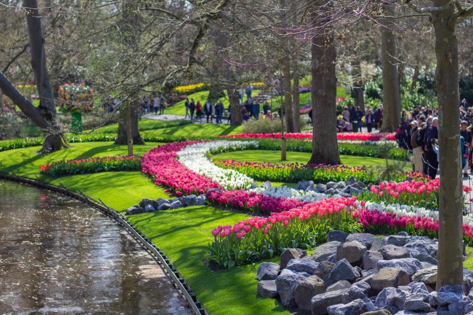 S-a deschis grădina cu 7 milioane de flori: Unde este și până când se vizitează. Imagini cu peisajul uluitor de care se bucură turiștii 962999