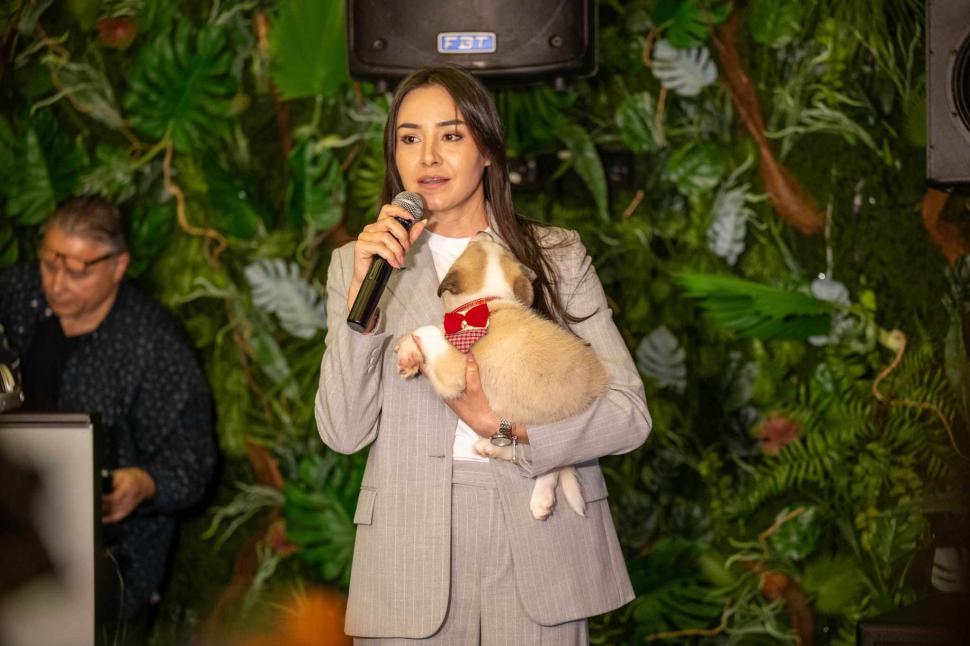 Zeci de mii de euro, strânși pentru câinii din adăposturi la licitația tricourilor de fotbaliști 963001