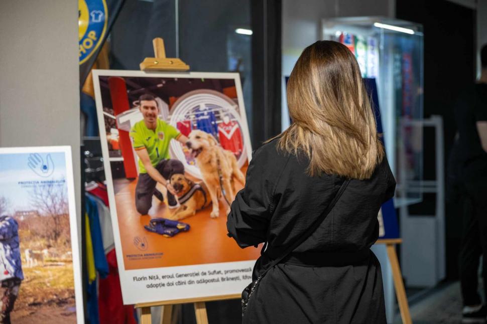 Zeci de mii de euro, strânși pentru câinii din adăposturi la licitația tricourilor de fotbaliști 963002