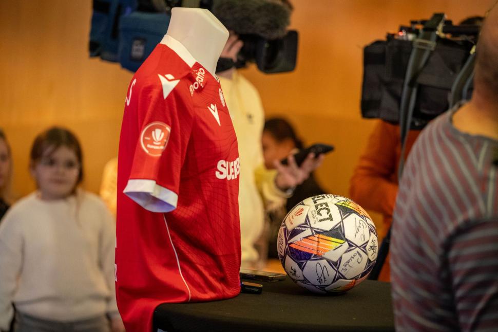 Zeci de mii de euro, strânși pentru câinii din adăposturi la licitația tricourilor de fotbaliști 963006